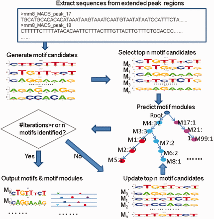 The procedure in SIOMICS.