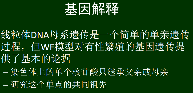 image-20250617012647189